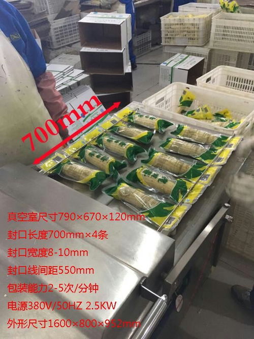 龍邦食品機械 在線咨詢 豆制品包裝機 豆制品包裝機廠家